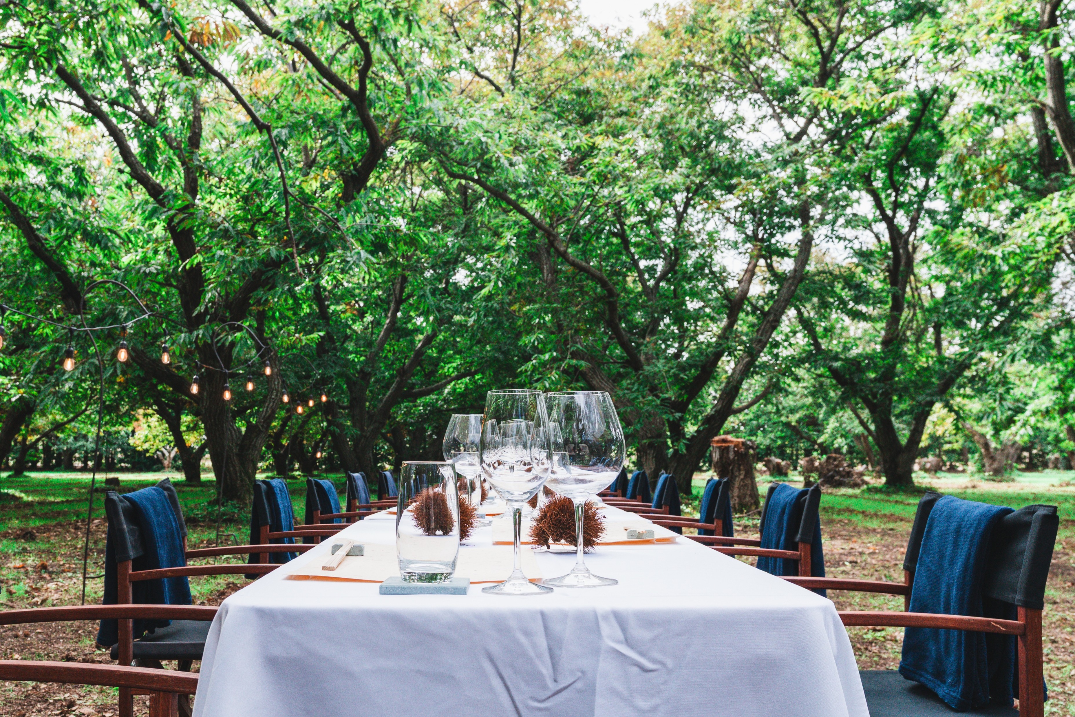 海と大地のテーブル キービジュアル